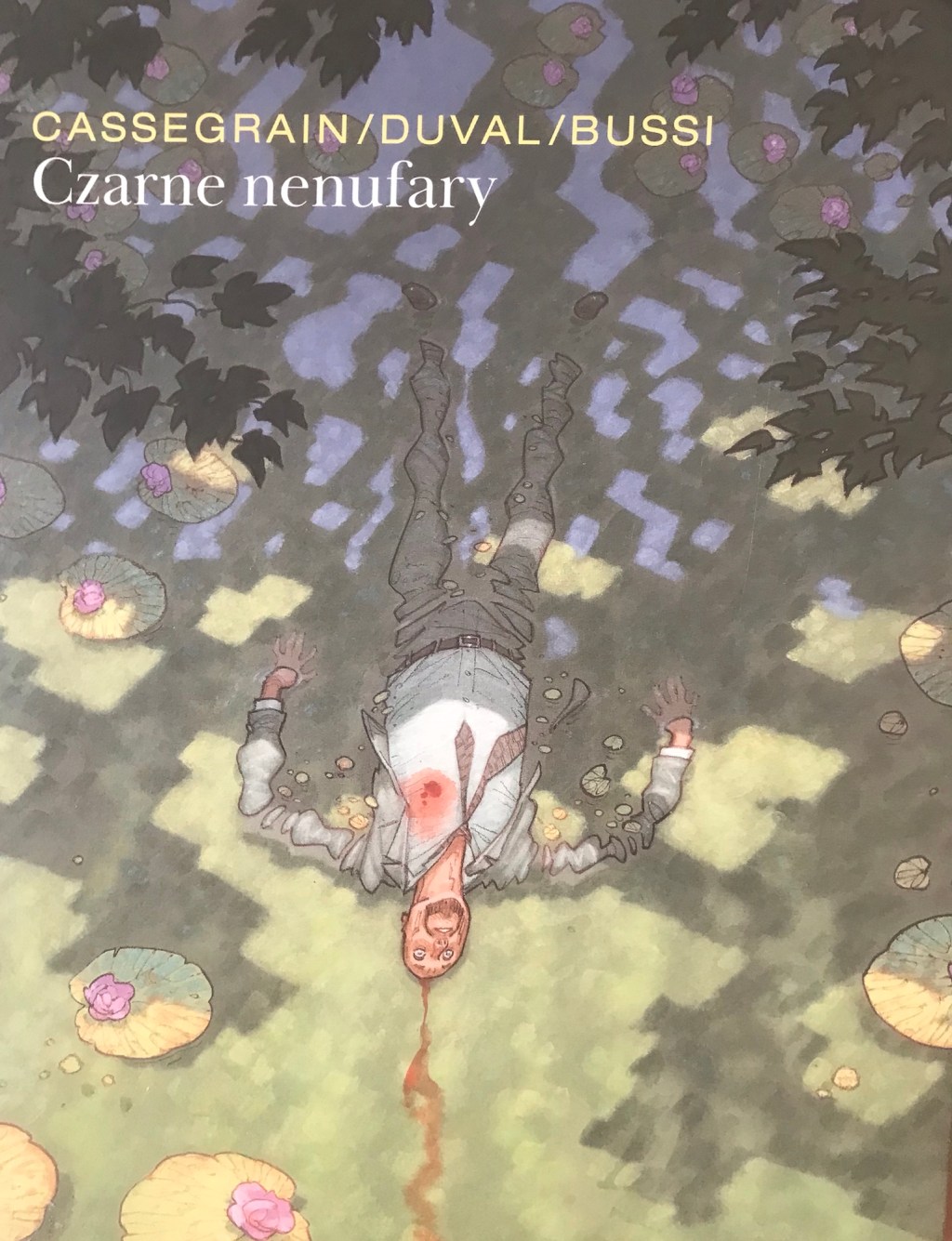 Czarne nenufary-  Fred Duval (scenariusz), Didier Cassegrain (rysunki), Michel Bussi (Autor&nbsp;książki)